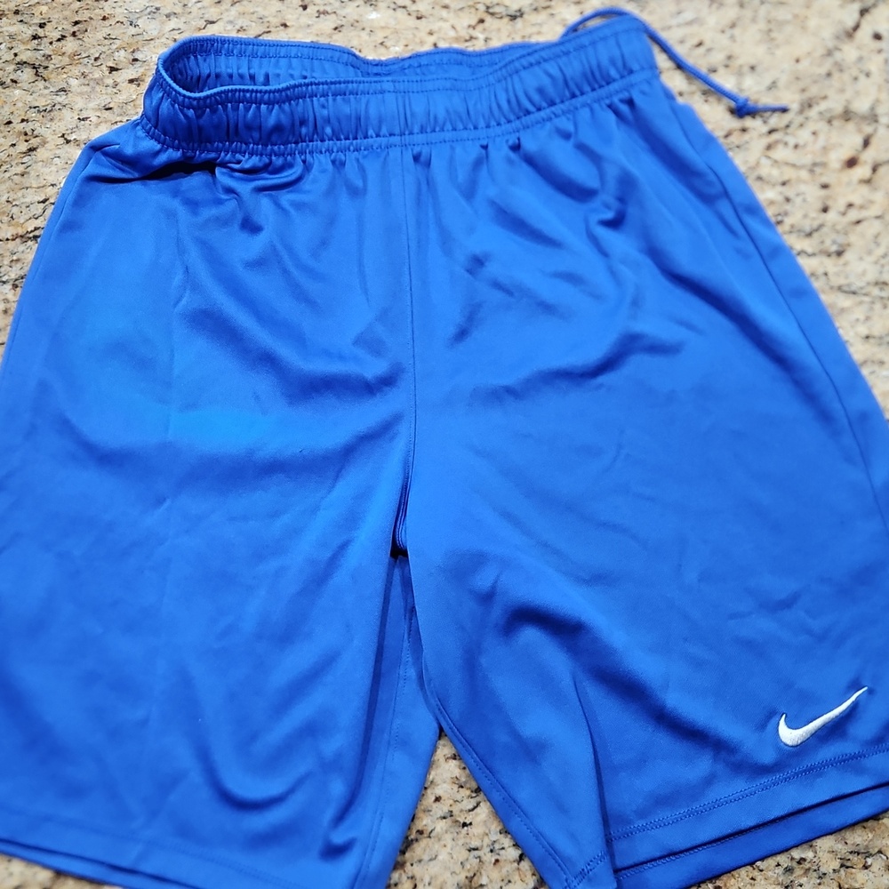 Nike Men's dri Fit Shorts Small.